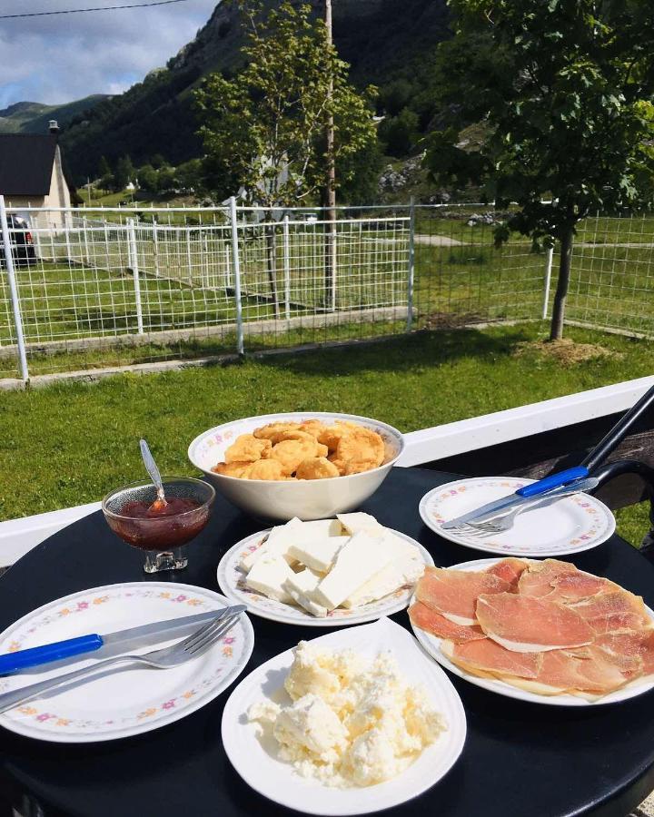 Katun Mokra Accommodation & Horseback Riding 포드고리차 외부 사진