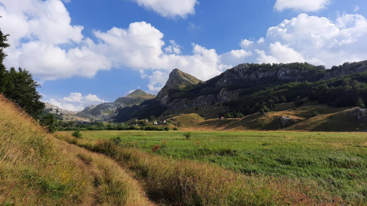 Katun Mokra Accommodation & Horseback Riding 포드고리차 외부 사진