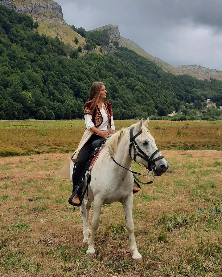 Katun Mokra Accommodation & Horseback Riding 포드고리차 외부 사진