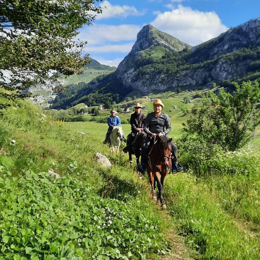 Katun Mokra Accommodation & Horseback Riding 포드고리차 외부 사진