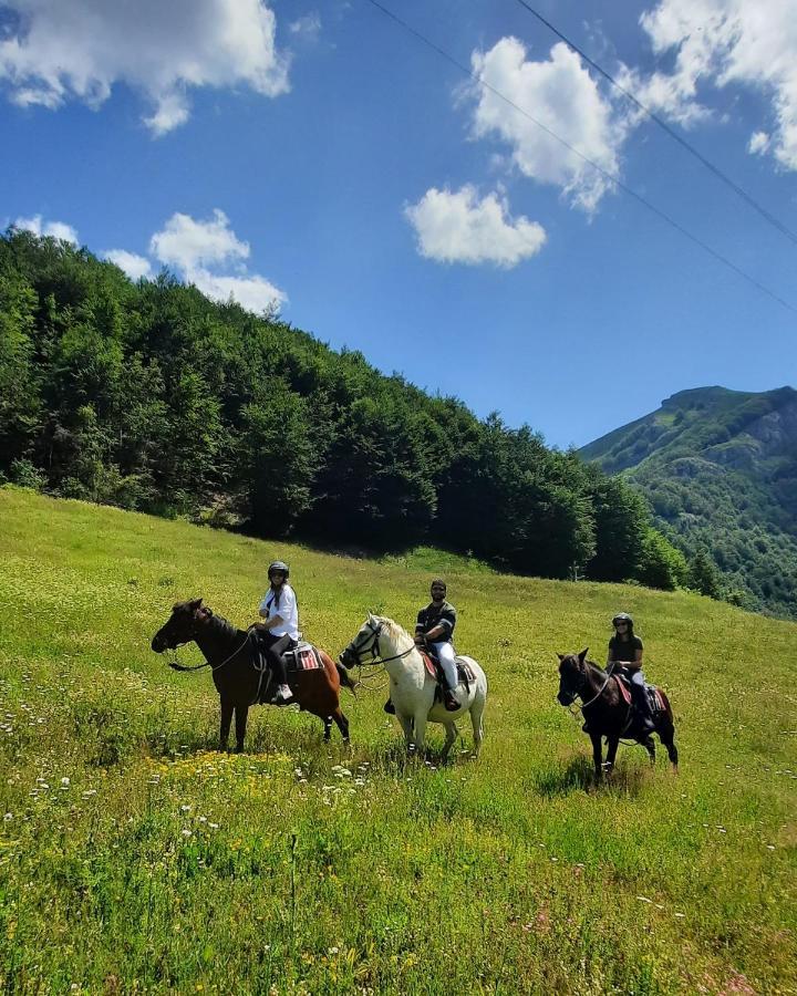 Katun Mokra Accommodation & Horseback Riding 포드고리차 외부 사진