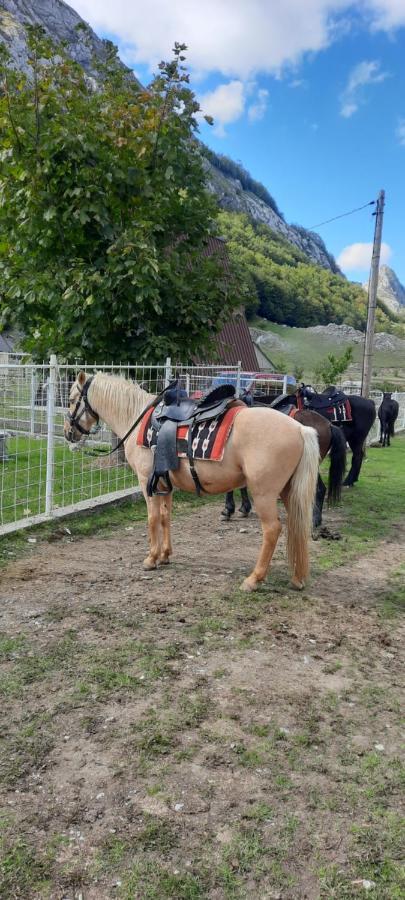 Katun Mokra Accommodation & Horseback Riding 포드고리차 외부 사진