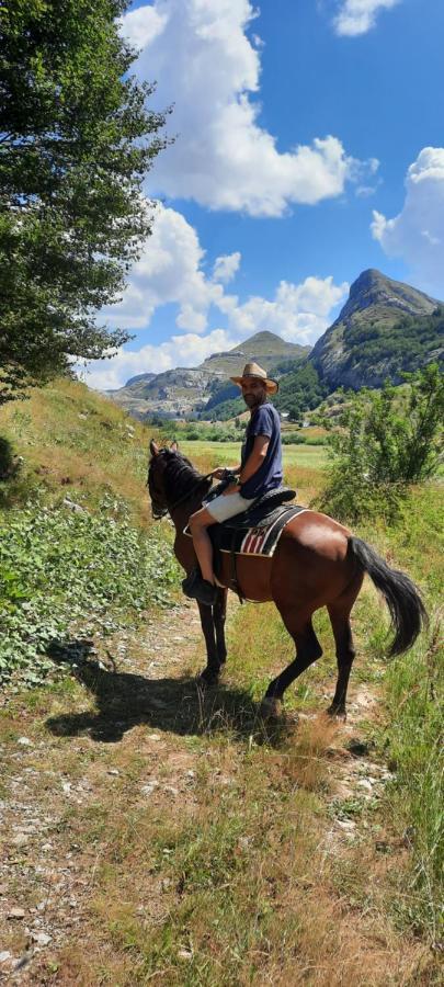 Katun Mokra Accommodation & Horseback Riding 포드고리차 외부 사진