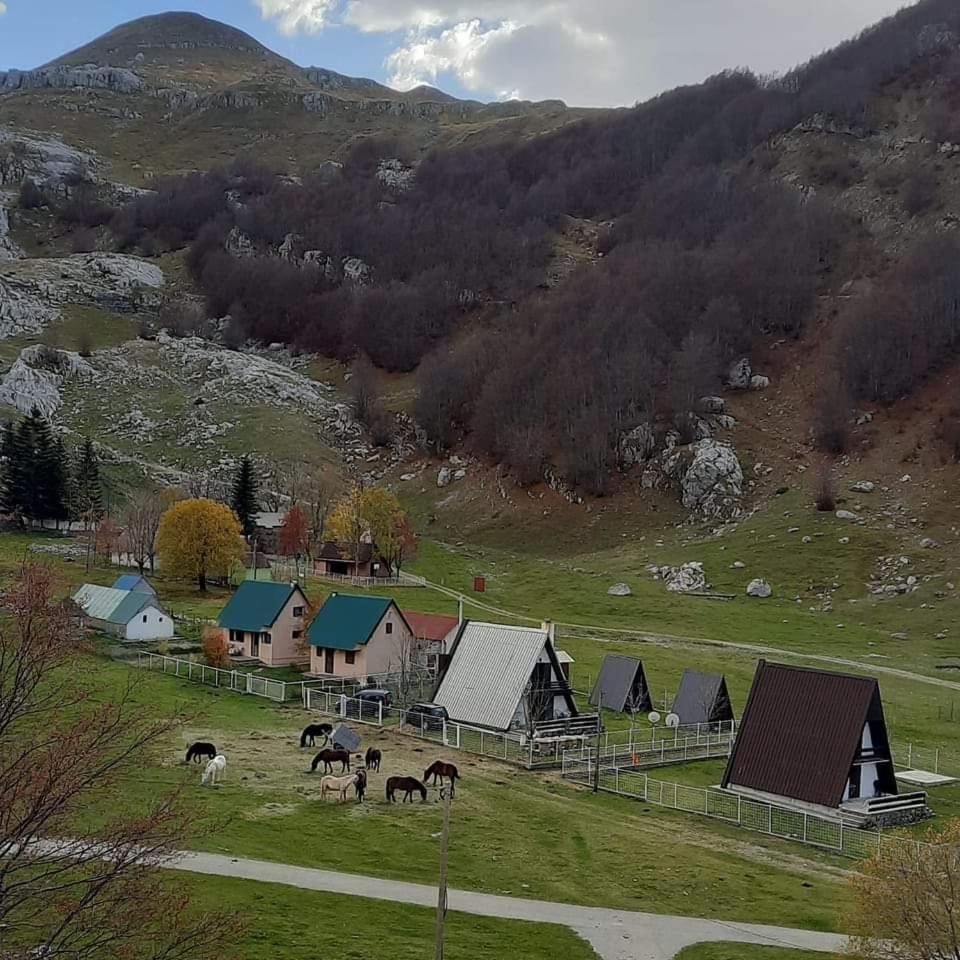 Katun Mokra Accommodation & Horseback Riding 포드고리차 외부 사진