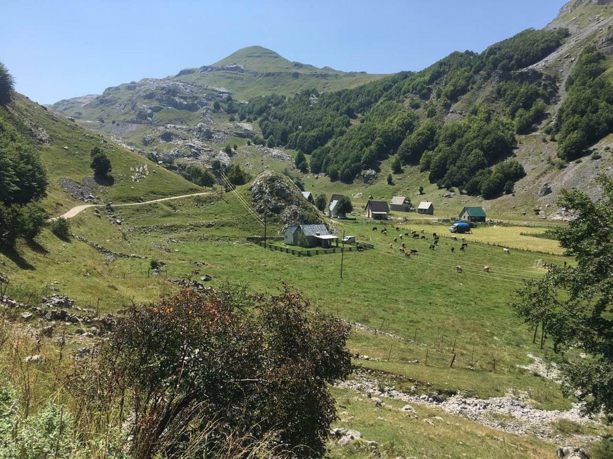 Katun Mokra Accommodation & Horseback Riding 포드고리차 외부 사진