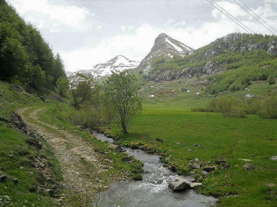 Katun Mokra Accommodation & Horseback Riding 포드고리차 외부 사진